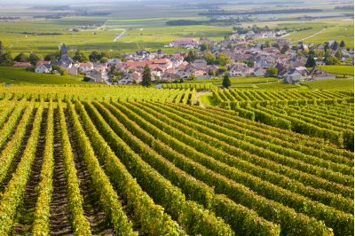 Bordeaux