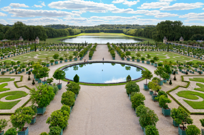 The Gardens
