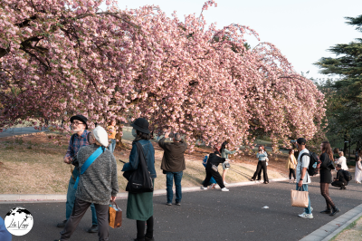 Ueno Park