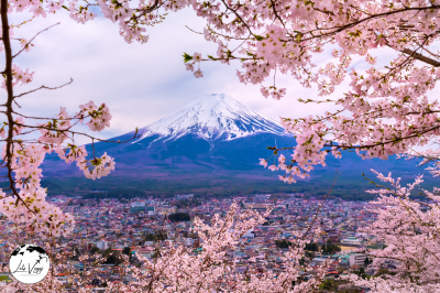 Mount Fuji