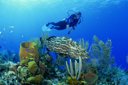 must do activities in thailand