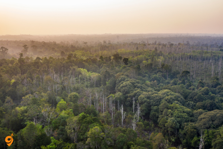 Borneo