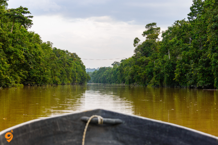 Kinabatangan River