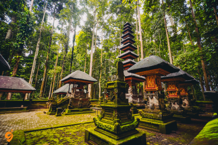 Sacred Monkey Forest Sanctuary