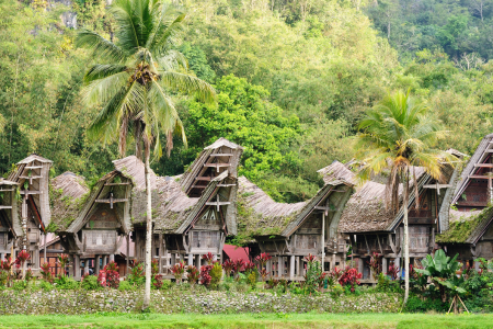 Tana Toraja