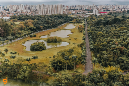 Central Park