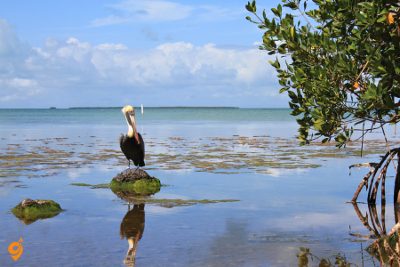 Everglades National Park