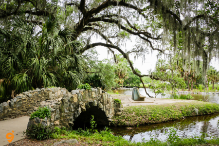 The Garden District