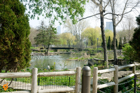 Lincoln Park Zoo