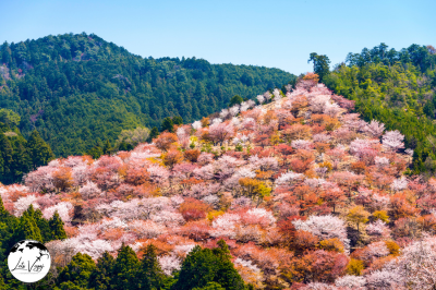 Nara