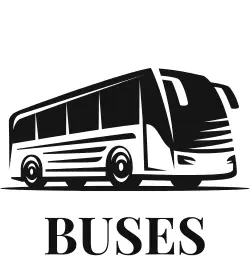 buses