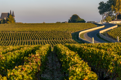 Médoc Wine Route
