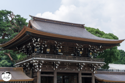 Meiji Shrine and Harajuku
