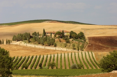 Chianti Region