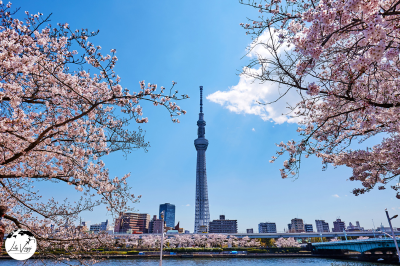 Tokyo Skytree