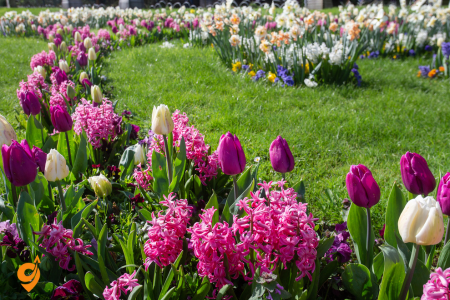 Botanical Gardens Flora