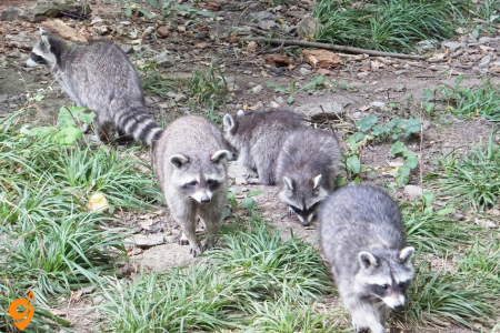 Naturerlebnispark Mundenhof