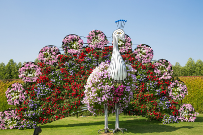 Dubai Miracle Garden