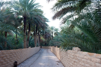 Al Ain Oasis